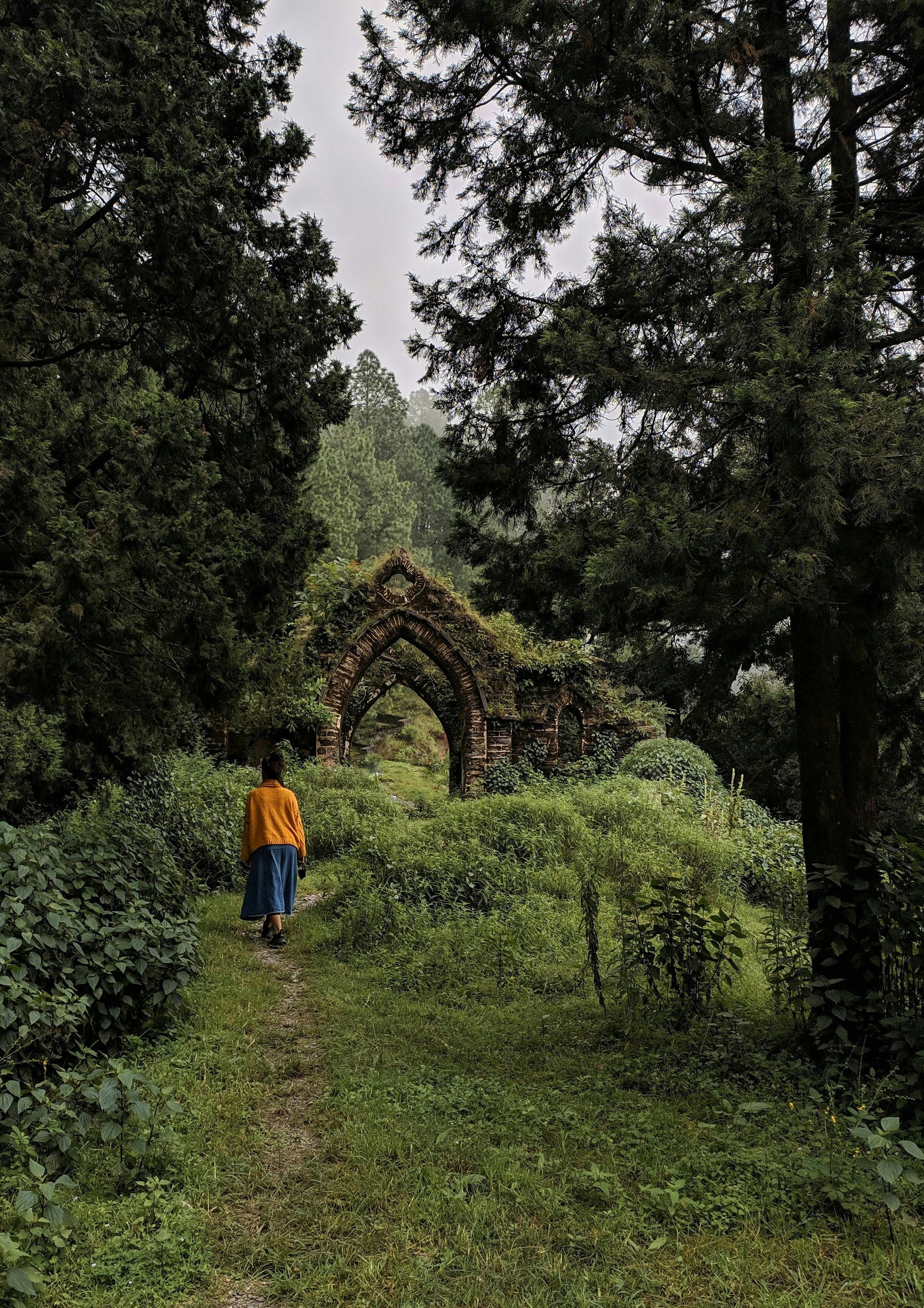 Photo by tapesh sharma: https://www.pexels.com/photo/a-person-walking-on-the-forest-11345439/